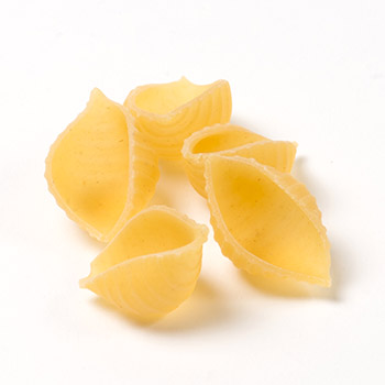 coquilles rayées LuxPasta